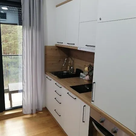 Ekvilibrijum 公寓 *