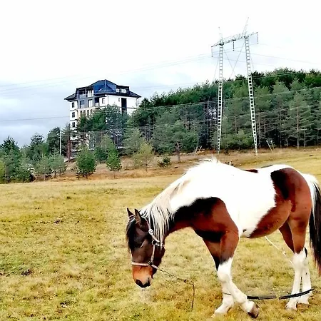 公寓 Ekvilibrijum *